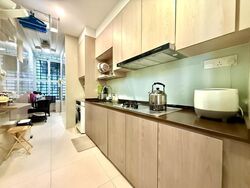 The Sunny Spring (D14), Apartment #535023611